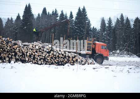 Ein LKW transportiert Holzstämme im Rücken. Holzstapler Stockfoto