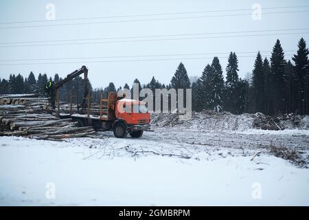 Ein LKW transportiert Holzstämme im Rücken. Holzstapler Stockfoto