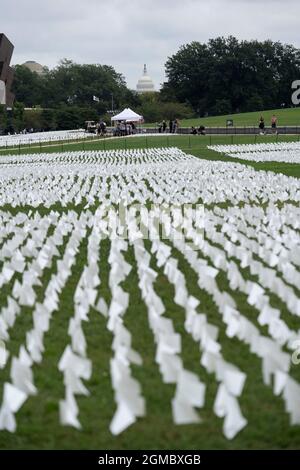 Washington, USA. September 2021. Weiße Flaggen sind am 17. September 2021 in der National Mall in Washington, DC, USA, zu sehen. Mehr als 660,000 weiße Flaggen wurden hier angebracht, um die an COVID-19 in den Vereinigten Staaten verlorenen Leben zu ehren. Quelle: Liu Jie/Xinhua/Alamy Live News Stockfoto