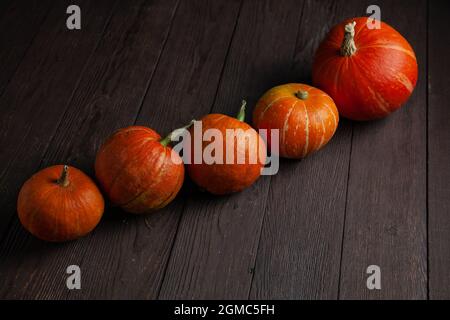 Fünf Kürbisse in einer Reihe auf einem Holztisch in dunkler Stimmung. Stockfoto