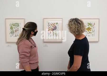 Die Royal Horticultural Society (RHS) und die Saatchi Gallery haben sich zur Präsentation der Rückkehr der RHS Botanical Art and Photography Show im Jahr 2021 zusammen gemacht. Parallel zur RHS Chelsea Flower Show im September wird es mehr als 200 der besten botanischen Kunstwerke und Gartenfotografie von 34 globalen Künstlern zeigen, um diese technischen Kunstformen zu feiern. Die Ausstellung 2021 wird eine Reihe von komplexen und wissenschaftlich akkuraten botanischen Illustrationen von 15 Künstlern und Portfolio-Sammlungen von 19 Fotografen umfassen, die alle um eine RHS-Medaille ... Stockfoto