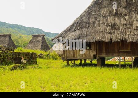 Traditionelle Häuser im Dorf Wologai stehen auf dem schönen grünen Gras. Ende East Nusa Tenggara. April 2021 Stockfoto