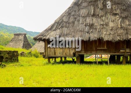 Traditionelle Häuser im Dorf Wologai stehen auf dem schönen grünen Gras. Ende East Nusa Tenggara. April 2021 Stockfoto