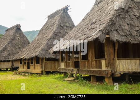 Traditionelle Häuser im Dorf Wologai stehen auf dem schönen grünen Gras. Ende East Nusa Tenggara. April 2021 Stockfoto