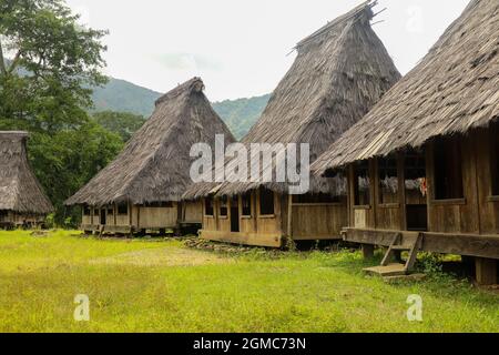 Traditionelle Häuser im Dorf Wologai stehen auf dem schönen grünen Gras. Ende East Nusa Tenggara. April 2021 Stockfoto