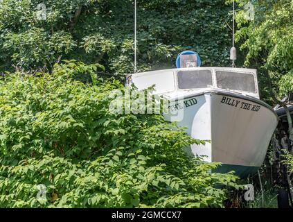 Altes Boot namens Billy the Kid in einer grünen Landschaft Stockfoto