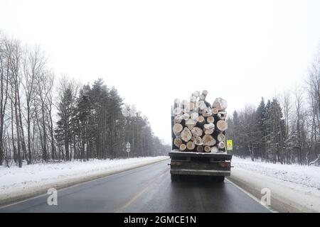 Ein LKW transportiert Holzstämme im Rücken. Holzstapler Stockfoto