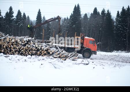 Ein LKW transportiert Holzstämme im Rücken. Holzstapler Stockfoto