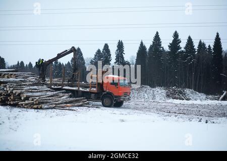 Ein LKW transportiert Holzstämme im Rücken. Holzstapler Stockfoto