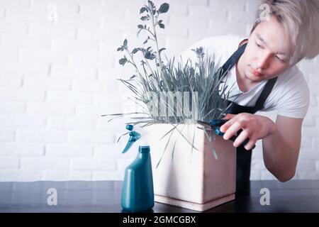 Eine junge asiatische Jugendliche kümmert sich um die Zimmerpflanzen Stockfoto