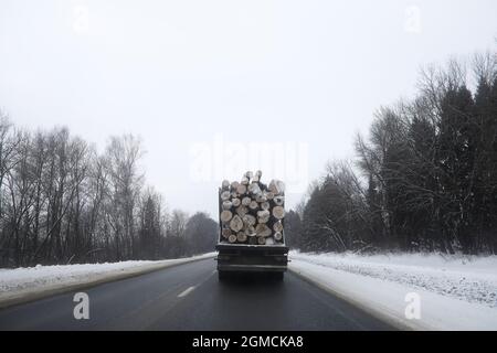 Ein LKW transportiert Holzstämme im Rücken. Holzstapler Stockfoto