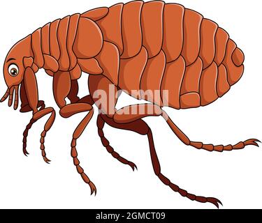 Niedliche Flea Insekt Cartoon Vektor Illustration Stock Vektor