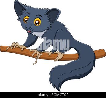 Niedliche Aye-Aye Madagaskar Tier Cartoon Vektor Illustration Stock Vektor