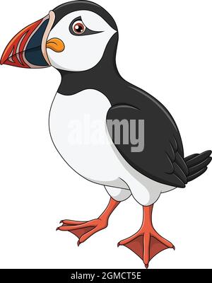 Cute Atlantic Puffin Cartoon Vektor Illustration Stock Vektor