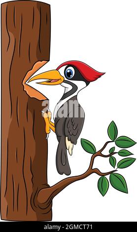 Niedliche Specht Vogel Cartoon Vektor Illustration Stock Vektor