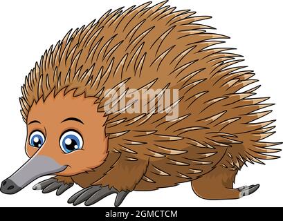Nette kurzschnabige Echidna Cartoon-Vektor-Illustration Stock Vektor