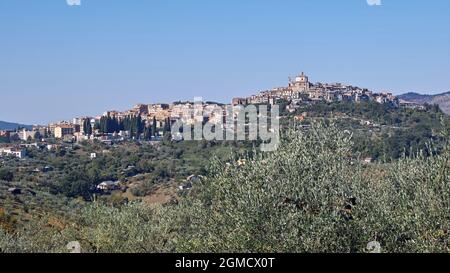 Castel Madama, Gesamtansicht, historisches Zentrum und neue Gebäude, latium, italien, europa Stockfoto