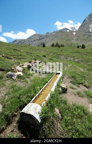 Natürliches Quellwasser. Brunnen mit natürlichem Baumstamm. Stockfoto