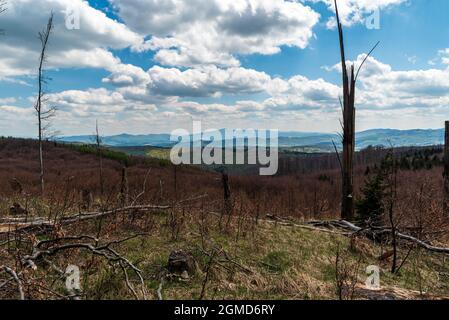 Blick von der kleineren Waldlichtung am Gipfel des Javornik-Hügels in den Biele Karpaty-Bergen an der slowakischen - tschechischen Grenze während eines schönen Frühlingstages Stockfoto