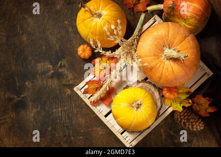 Konzept von Halloween oder Thanksgiving Tag, Herbsternte. Festliche Herbstdekorationen mit Kürbissen und Blättern auf rustikalem Holzhintergrund. Stockfoto