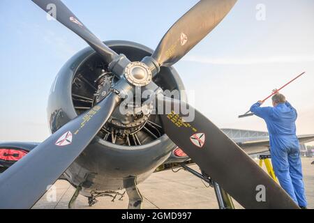 IWM Duxford, Cambridgeshire, Großbritannien. 18. September 2021. Ein nebliger Start, als die Battle of Britain Air Show am 18-19. September im IWM Duxford stattfindet, Der ehemalige RAF-Standort, der in einigen der dramatischsten Tage der Geschichte des 20. Jahrhunderts eine zentrale Rolle spielte und während des Zweiten Weltkriegs als Stützpunkt für viele Piloten der Spitfire und des hurrianischen Flugs diente. Bild: The Fighter Collection Grumman F8F-2P Bearcat. Quelle: Malcolm Park/Alamy Live News Stockfoto