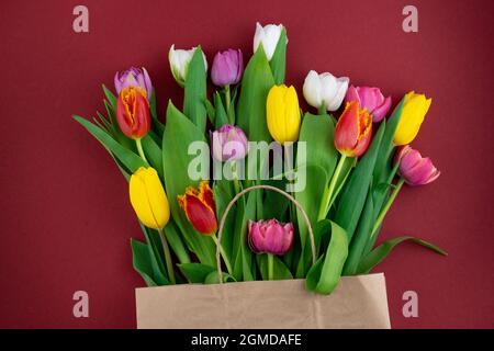 Bunte Tulpen auf rotem Hintergrund. Frühlingsstrauß. Blumen Draufsicht. Schöne Tulpe Blume Hintergrund. Tulpen aus der Nähe Stockfoto