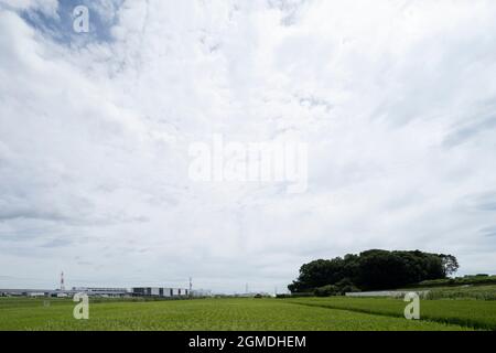Wolkiger Tag, 22. August 2021 (Sommer), Stadt Isehara, Präfektur Kanagawa, Japan Stockfoto