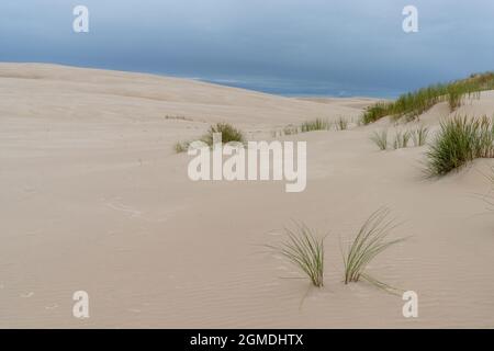 Blick auf endlos wandernde Sanddünen im Slowinski Nationalpark an der Ostsee im Norden Polens Stockfoto