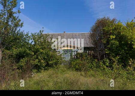 Altes verlassene Dorfhaus aus Holz. Sommer, grünes Gras und Bäume. Stockfoto