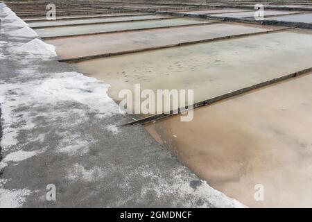 Aveiro salinas, Salzpfannen in der Stadt Aveiro, Portugal Stockfoto