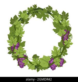 Runder Rahmen. Weinrebe mit Laub und Trauben. Weinbau und Landwirtschaft. Zweige mit Beeren auf einem dichten Busch. Junger Weinberg. Süßer Herbst Stock Vektor