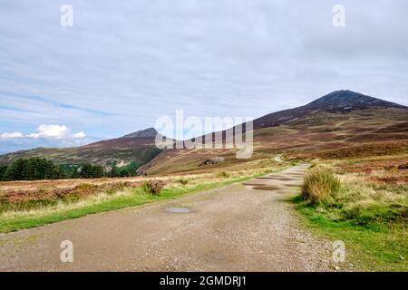 Der Wales Coast Path führt durch offene Heide zwischen den Zwillingsgipfeln von Yr Eifl Stockfoto