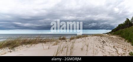 Endlose unberührte leere Sandstrände mit Wald und Sanddünen am Ufer Stockfoto