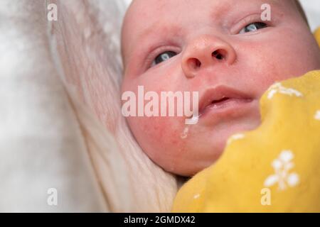 Neugeborenes Baby Mädchen sabbern Nahaufnahme auf weißem Hintergrund Stockfoto