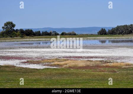 Österreich, Nationalpark Neusiedleree-Seewinkel im Burgenland im Pannonischen Tiefland, beliebtes Ausflugsziel mit Steppenlandschaft, Feuchtgebieten, Stockfoto