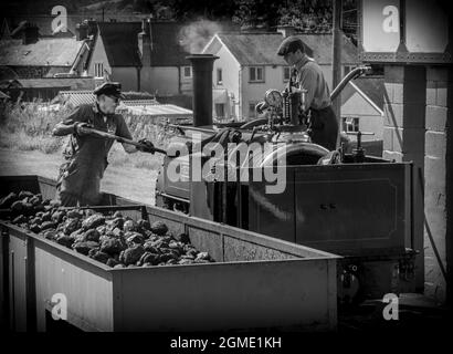 Schaufeln von Kohle auf den Motor bei Bala Lake Railway, Gwynedd, Wales. Die Bala Lake Railway ist eine Schmalspurbahn Stockfoto