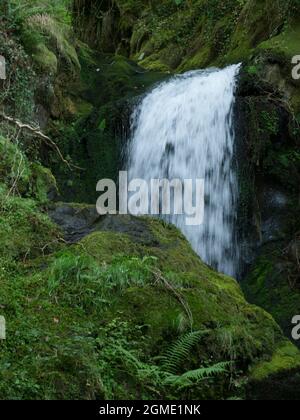 Die Lower Falls (Rhaeadr ISAF) Dolgoch Falls in der Nähe von Aberdovey, Gwynedd, Wales. Die Dolgoch Falls sind eine Reihe von drei Wasserfällen in der Nähe von Tywyn in Gwynedd, M Stockfoto