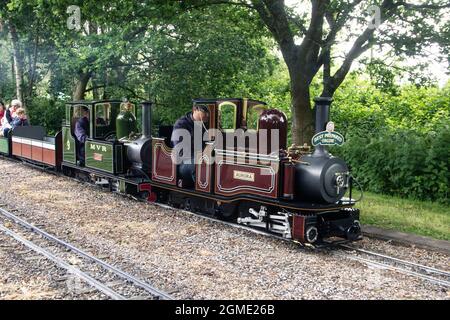 Moors Valley Railway, Sommer Dampf gaga 2019 Stockfoto