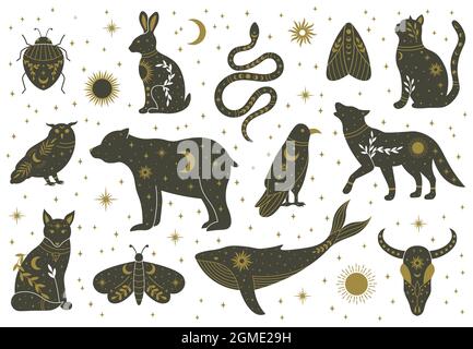 Hexerei Magie mystische Boho Doodle Tiere und Insekten. Magische Katze, Fuchs, Wolf, Eule, Wal verziert mit Mond, Sterne, Blätter Vektor-Illustration Stock Vektor