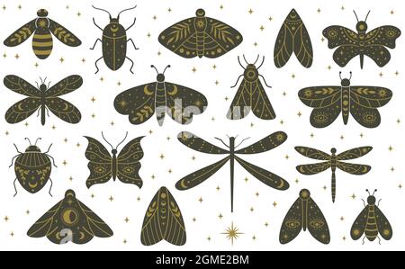 Mystische Boho Motte Schmetterling Libelle handgezeichnete Insekten. Magische Hexerei Libelle, Schmetterling, Käfer und Motten Vektor Illustration Set Stock Vektor