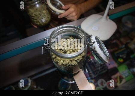 Ein geöffnetes Glas, gefüllt mit rohen Marihuanaknospen auf einem Schreibtisch in einem Café. Stockfoto