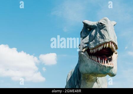 Nahaufnahme eines Dinosaurier-Tyrannosaurus am blauen Himmel Stockfoto