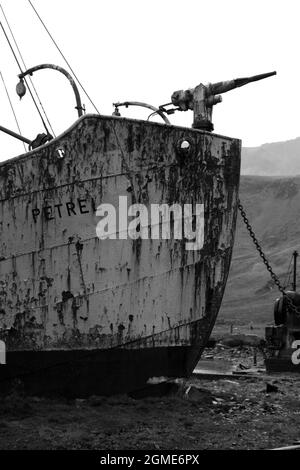 Walfangschiff Petrel Grytviken auf der Insel Südgeorgien Stockfoto