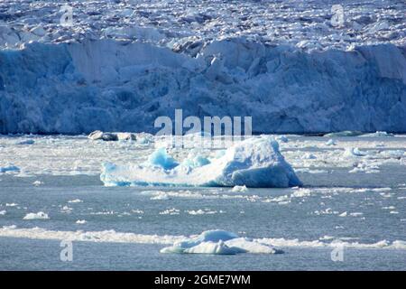 Monacobreen Gletscher auf der Insel Spitzbergen, Spitzbergen Stockfoto