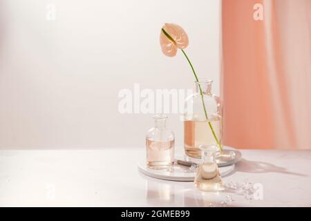 Natürlichen organischen Extraktion, Blüte Duft Essenz Lösung im Labor Stockfoto