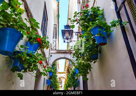 Gasse (Calleja de las flores) in der Altstadt von Cordoba mit Blumentöpfen geschmückt, Spanien Stockfoto