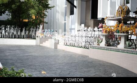 Jetanin Hospital, Zebras Jetanin Institute of Assisted Conception Holistic Center for Infertility, Zebras, Assisted Reproductive Technologies Stockfoto