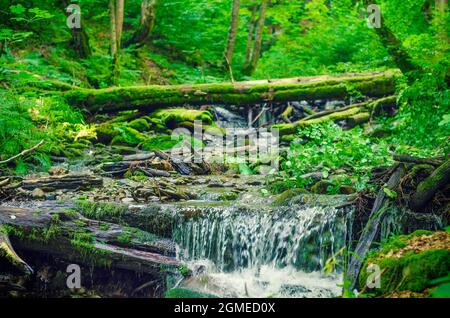 Magischer Wasserfall tief im Wald versteckt. Konzentrieren Sie sich auf den Wasserstrahl Stockfoto