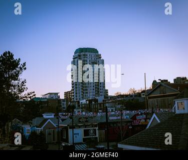 Skyline von halifax vom Hafen aus Stockfoto