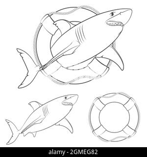 Set von Schwarz-Weiß-Illustrationen Hai in der Lebensader. Isolierte Vektorobjekte auf weißem Hintergrund. Stock Vektor